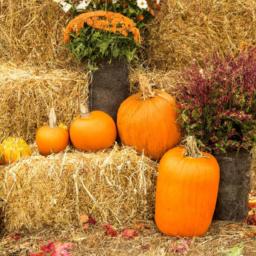 Welcome autumn with this cozy hay bale display featuring pumpkins and colorful foliage.