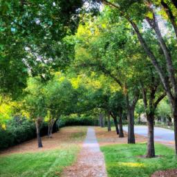 Add natural beauty to your outdoor space with a tree branch-lined pathway.