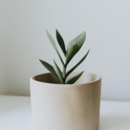 This minimalistic flower pot is perfect for those who prefer a clean and contemporary look.