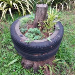 Giving your tire garden a natural look with a tree stump base